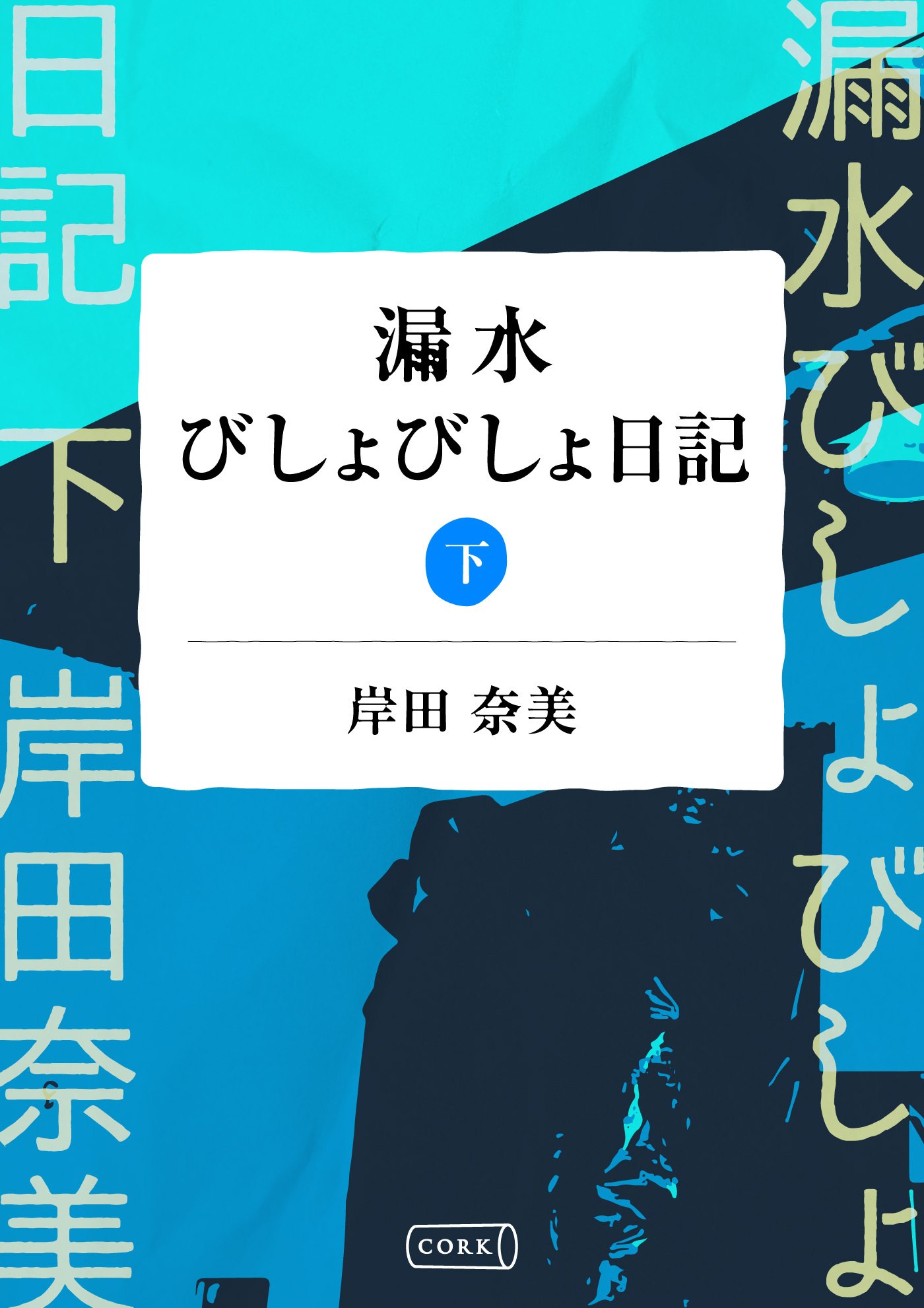 漏水びしょびしょ日記