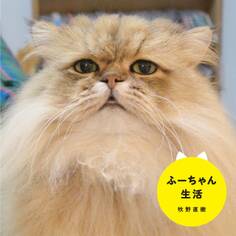 ふーちゃん生活