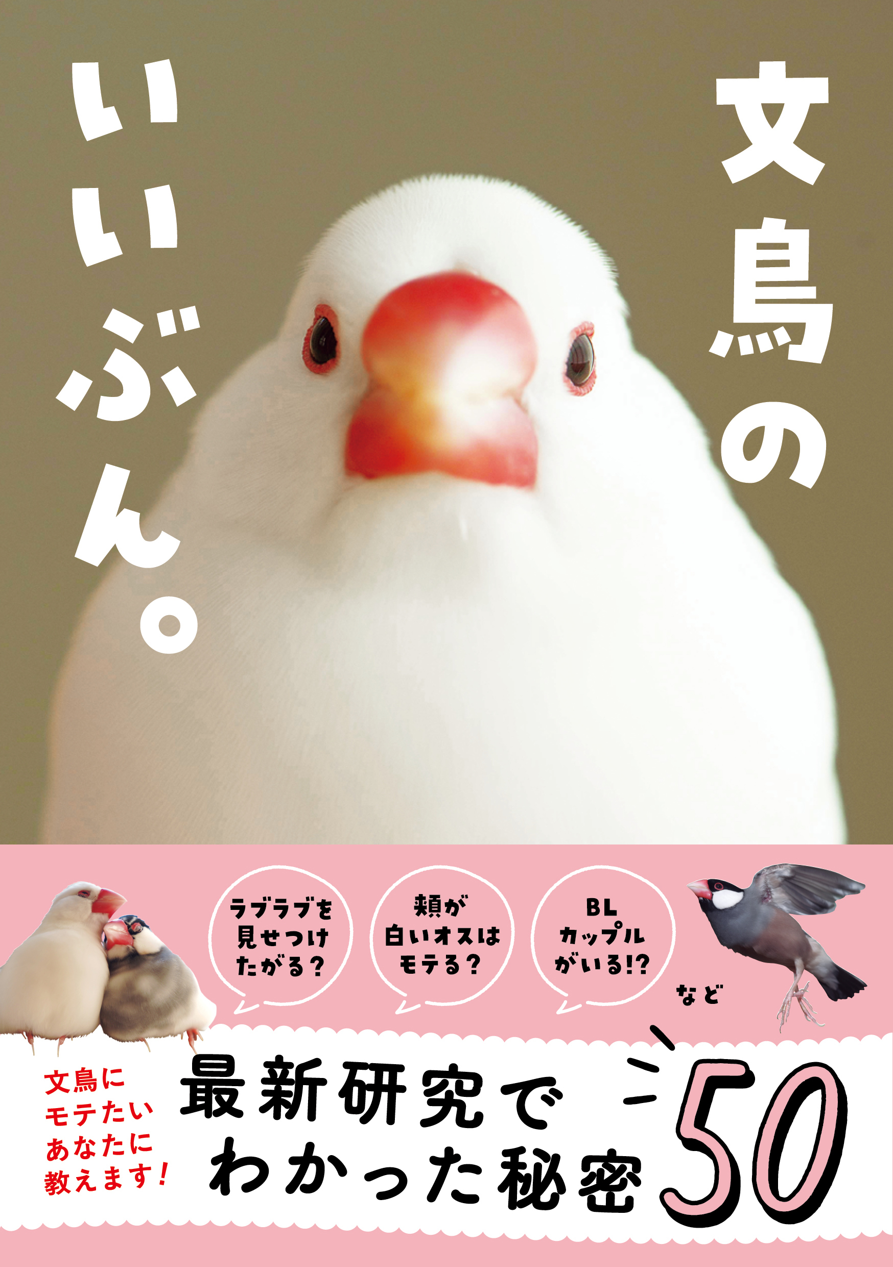 文鳥のいいぶん。