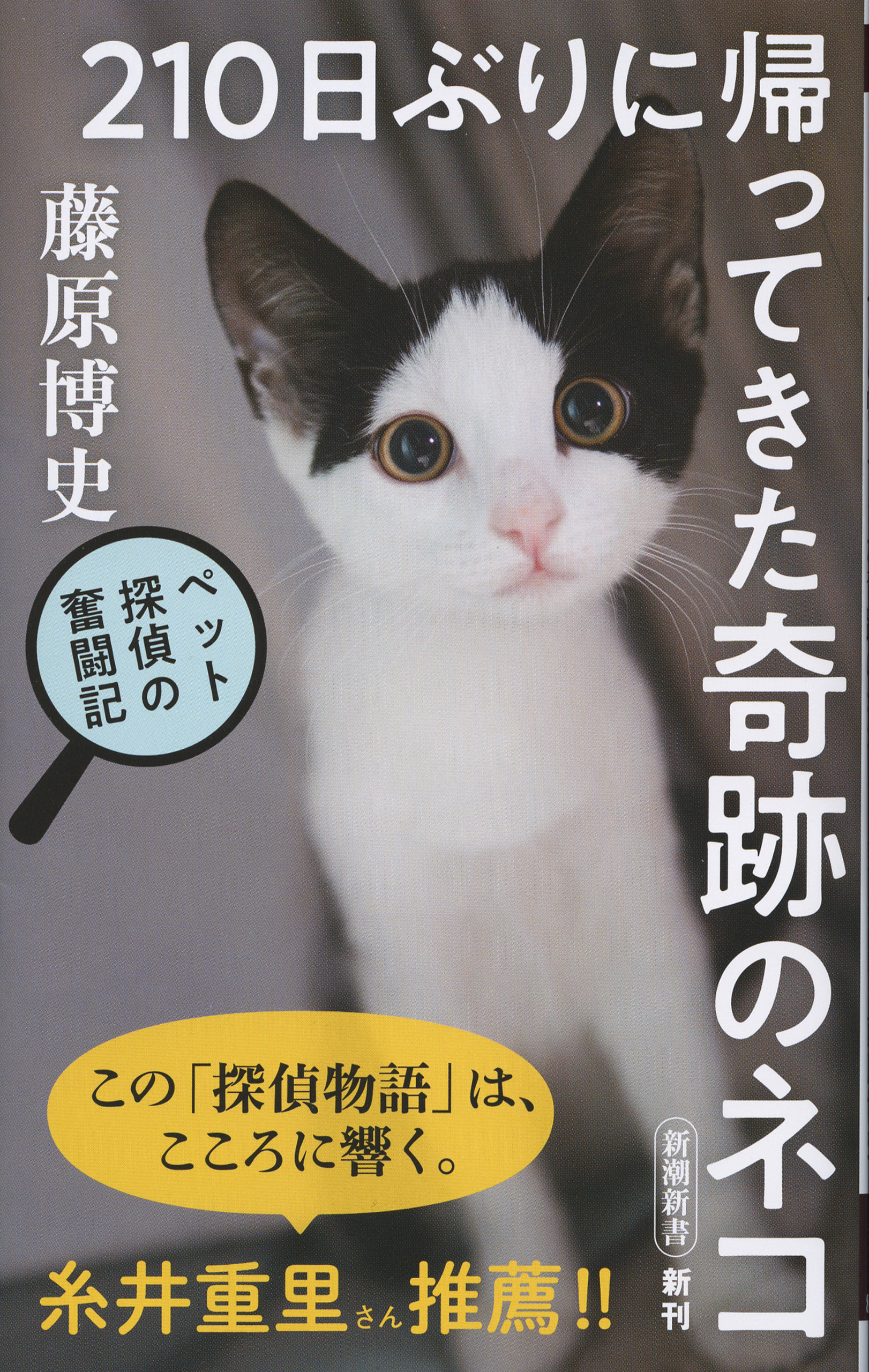 210日ぶりに帰ってきた奇跡のネコ―ペット探偵の奮闘記―（新潮新書）