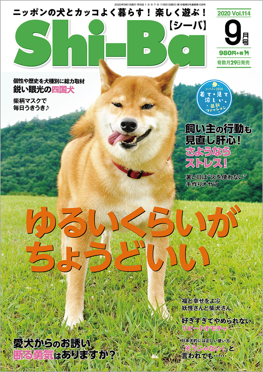 Shi-Ba 2020年9月号　Vol.114
