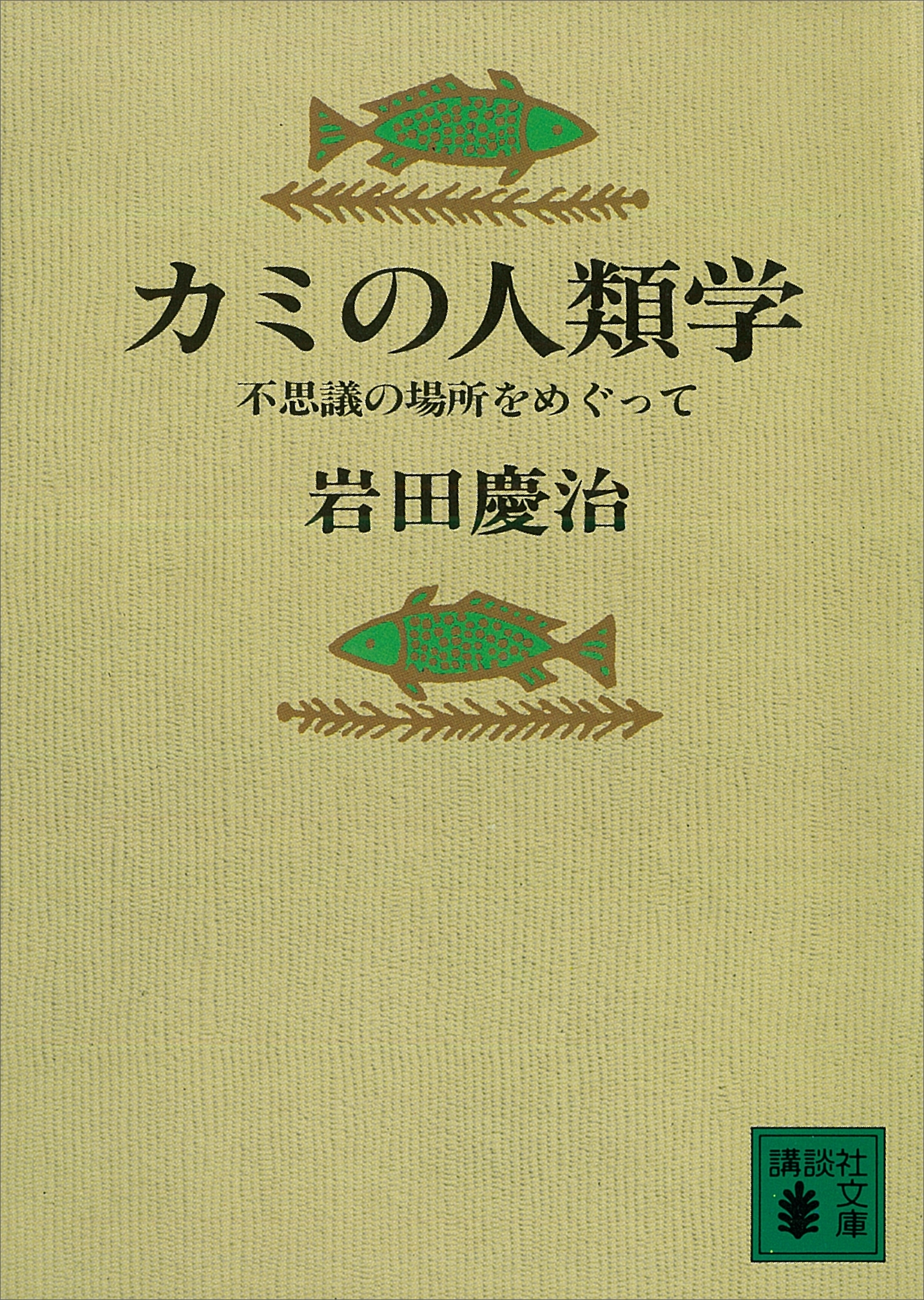 カミの人類学　不思議の場所をめぐって