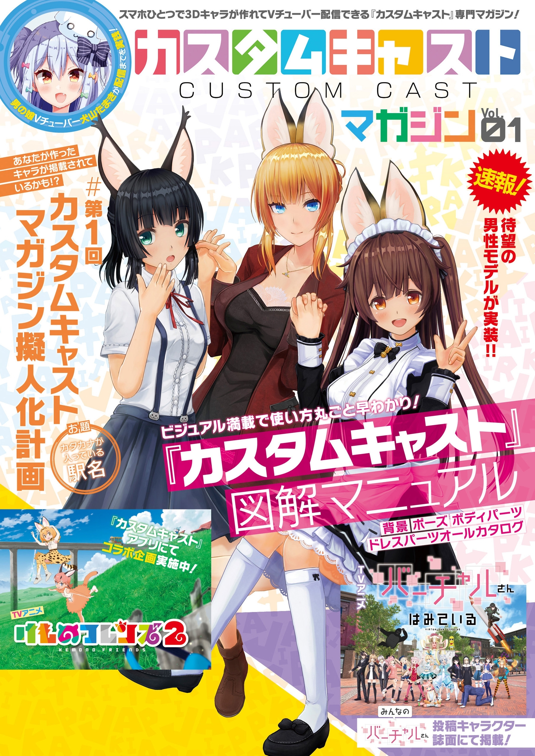 カスタムキャスト　マガジン