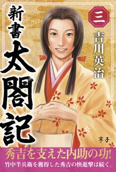 新書 太閤記