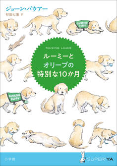 ルーミーとオリーブの特別な10か月