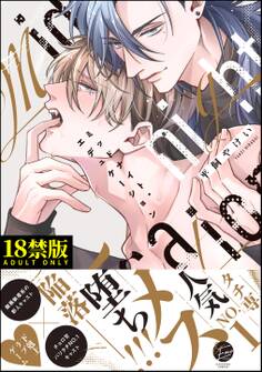 ミッドナイト・エデュケーション【極】