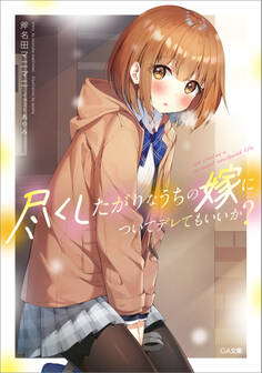 尽くしたがりなうちの嫁についてデレてもいいか?