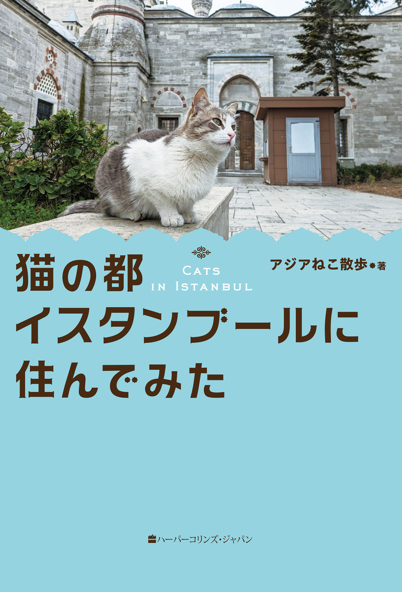 猫の都イスタンブールに住んでみた