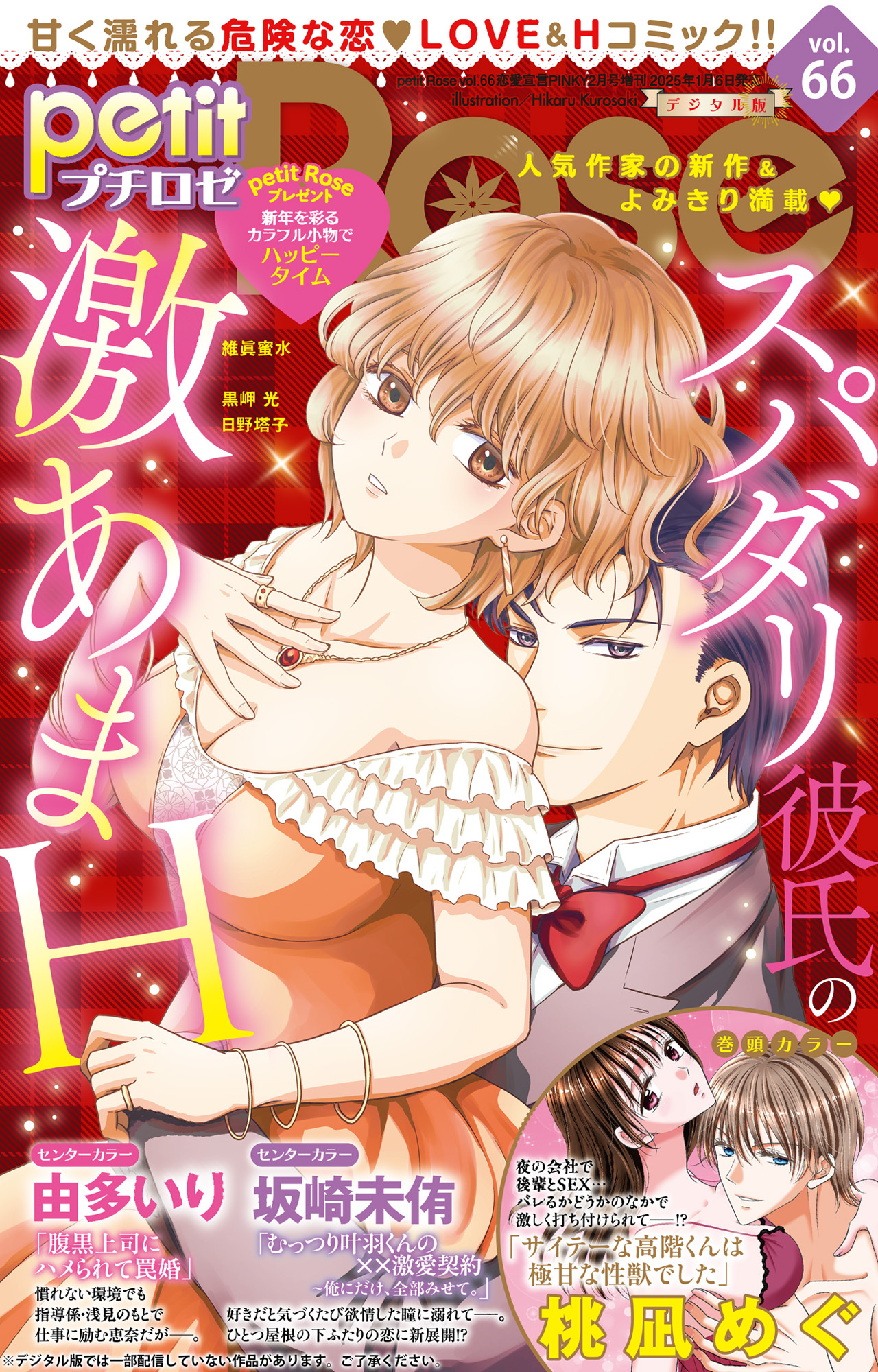 petitRose vol.66
