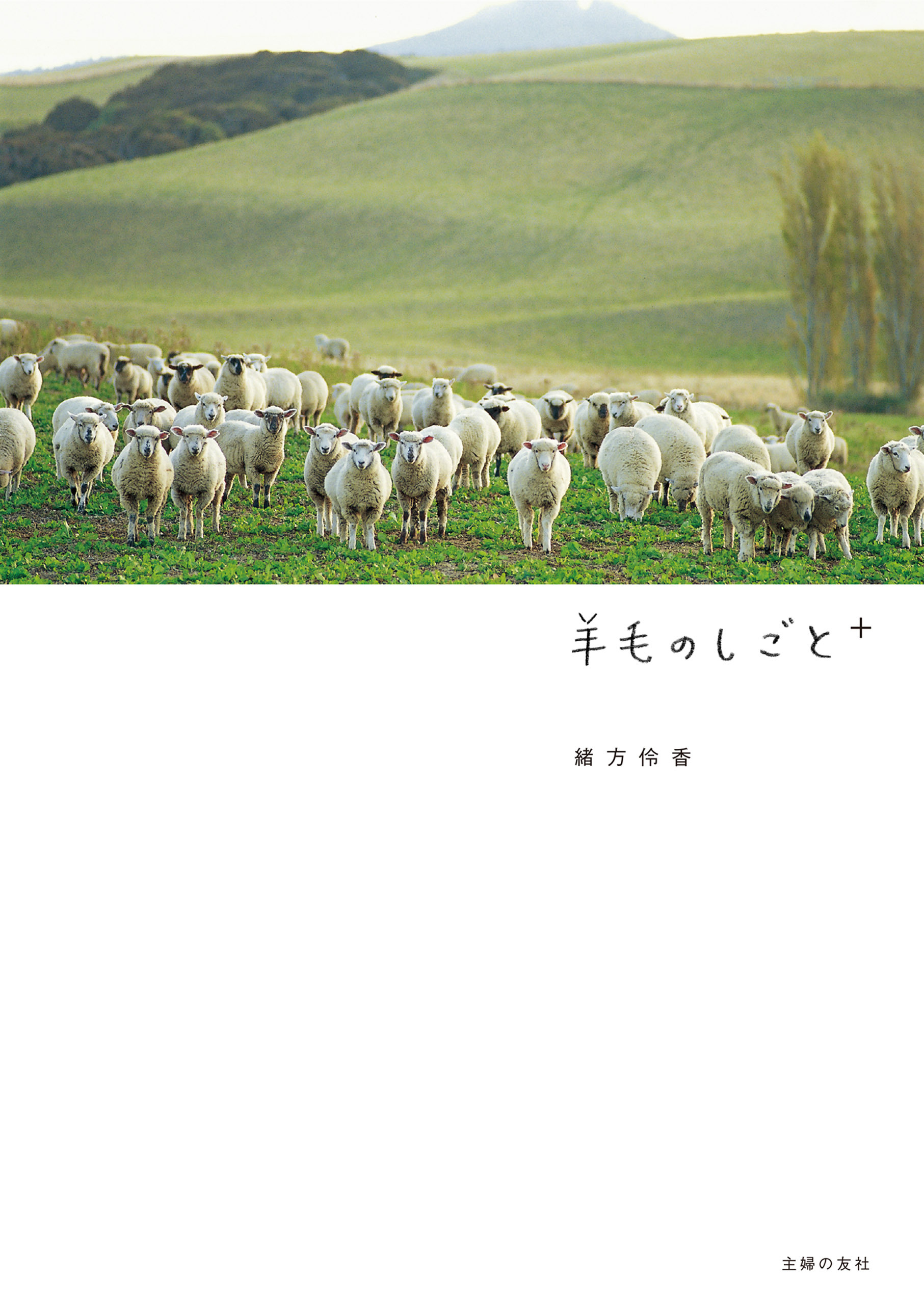 羊毛のしごと＋