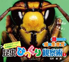 昆虫びっくり観察術〈1〉顔からみえる虫の生き方