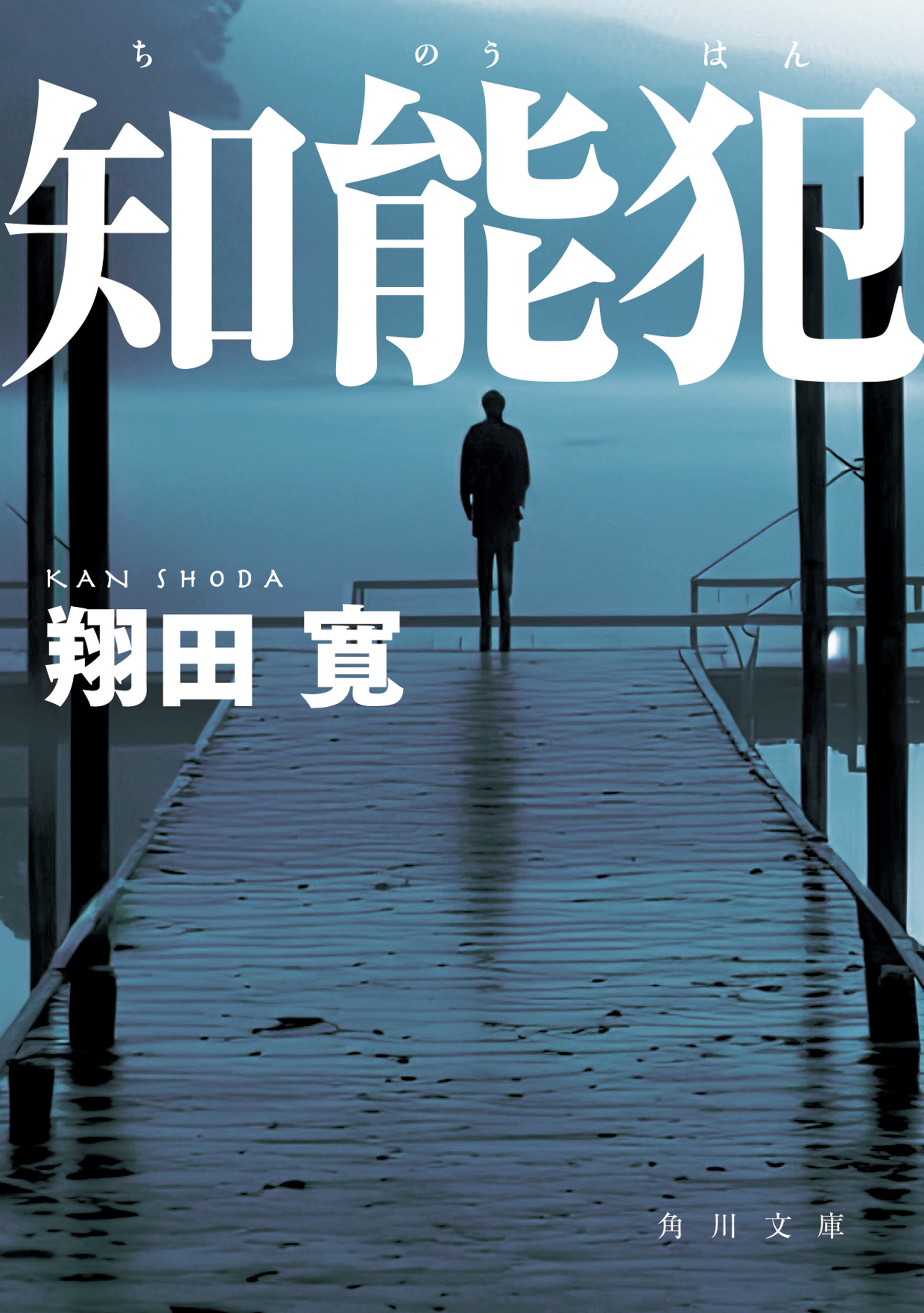 船橋署刑事課・香山亮介シリーズ