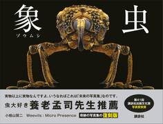 象虫 Weevils:Micro Presence 復刻版