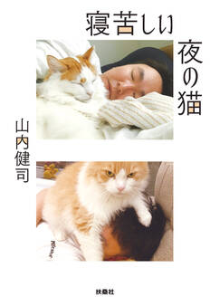 寝苦しい夜の猫