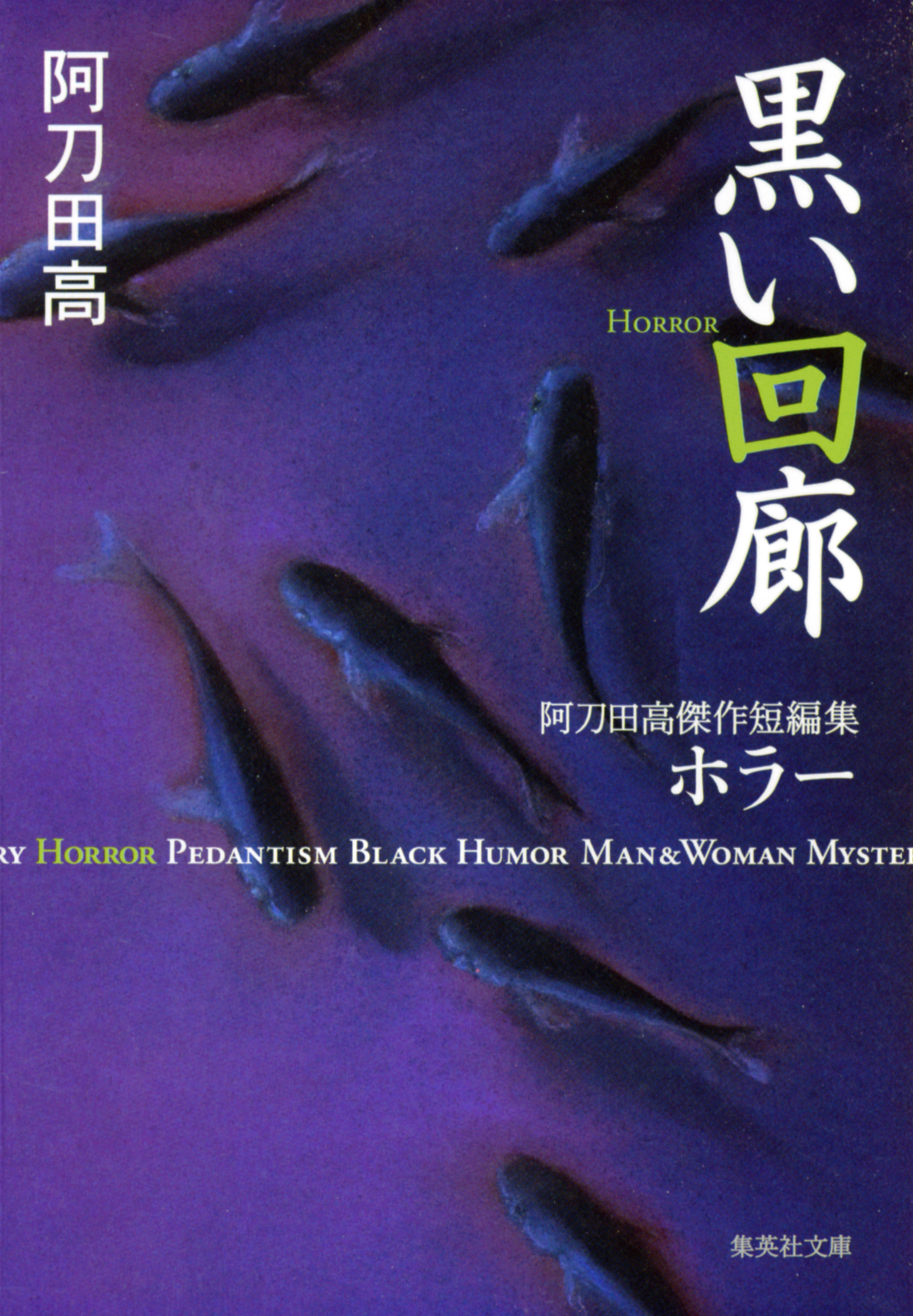 黒い回廊　阿刀田高傑作短編集　ホラー