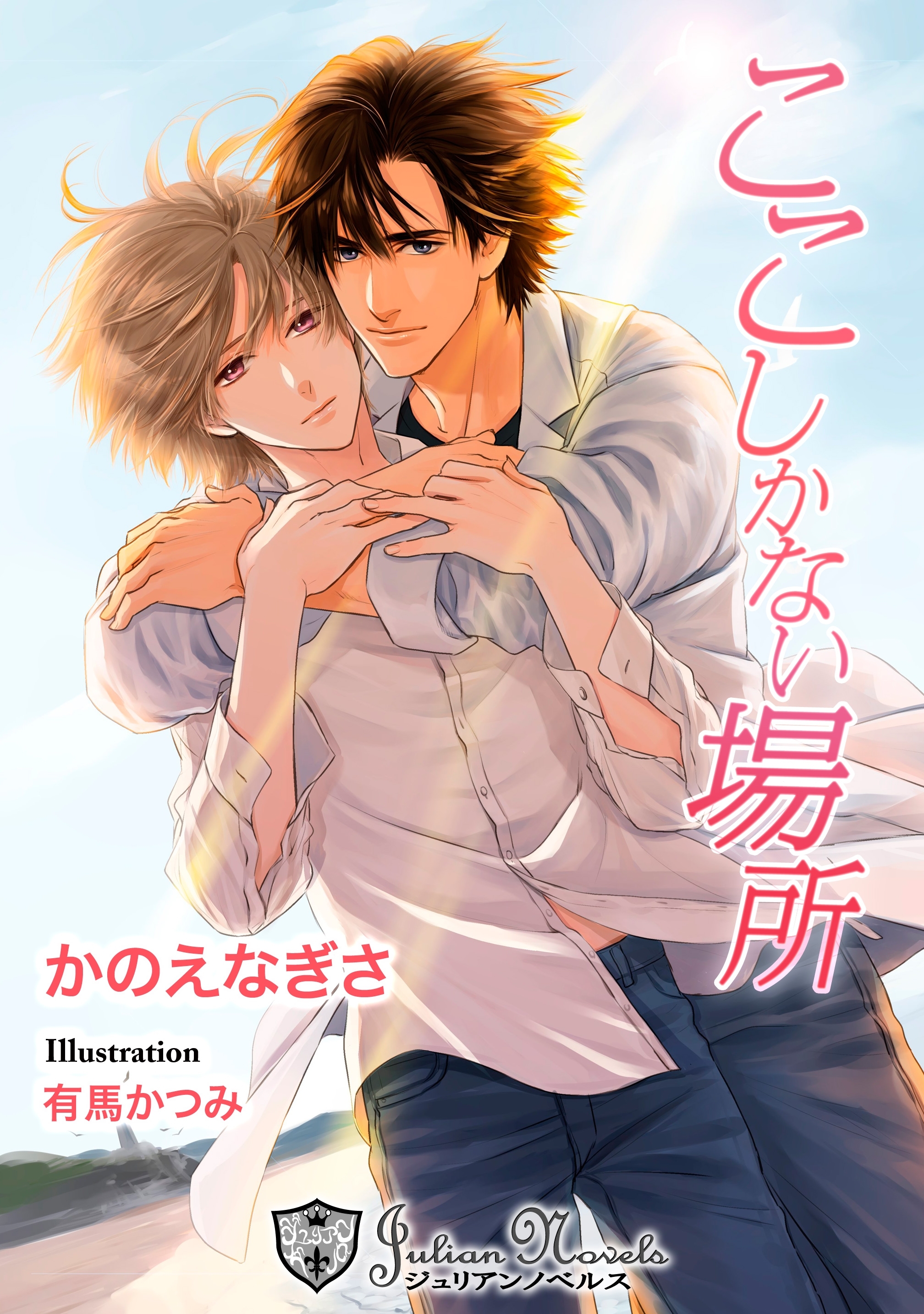 ここしかない場所【新装版イラスト入り】