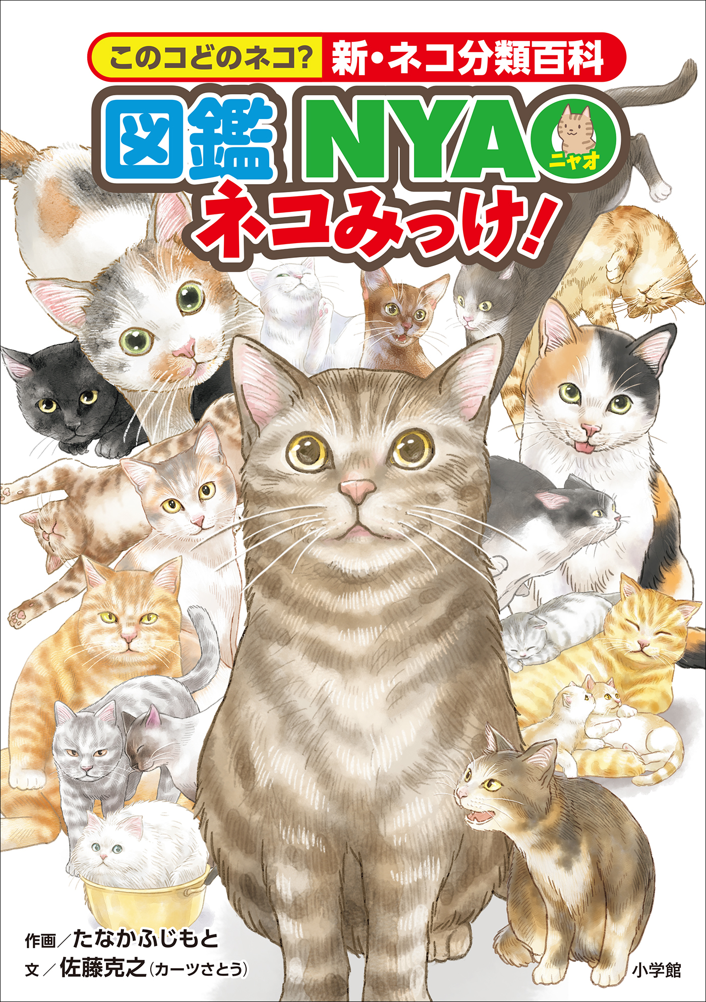 図鑑NYAO　ネコみっけ！　～このコどのネコ？新・ネコ分類百科～
