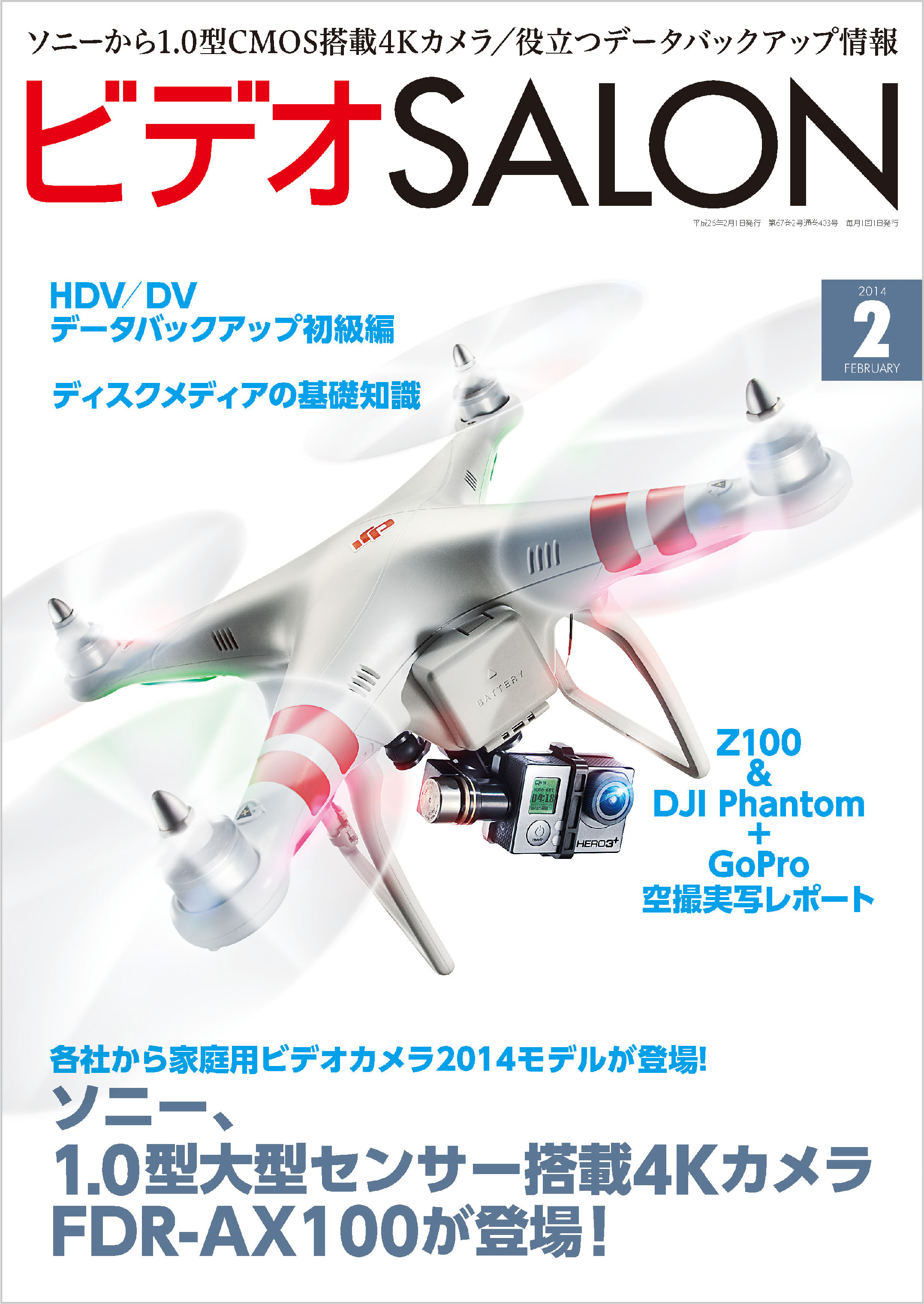 ビデオ SALON (サロン) 2014年 02月号