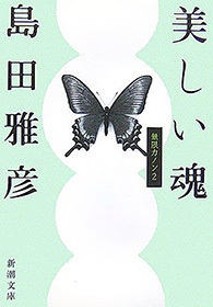 美しい魂―無限カノン２―（新潮文庫）