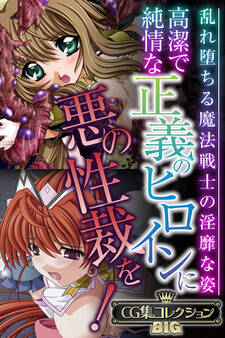 高潔で純情な正義のヒロインに悪の性裁を! ~乱れ堕ちる魔法戦士の淫靡な姿~【CG集コレクションBIG】