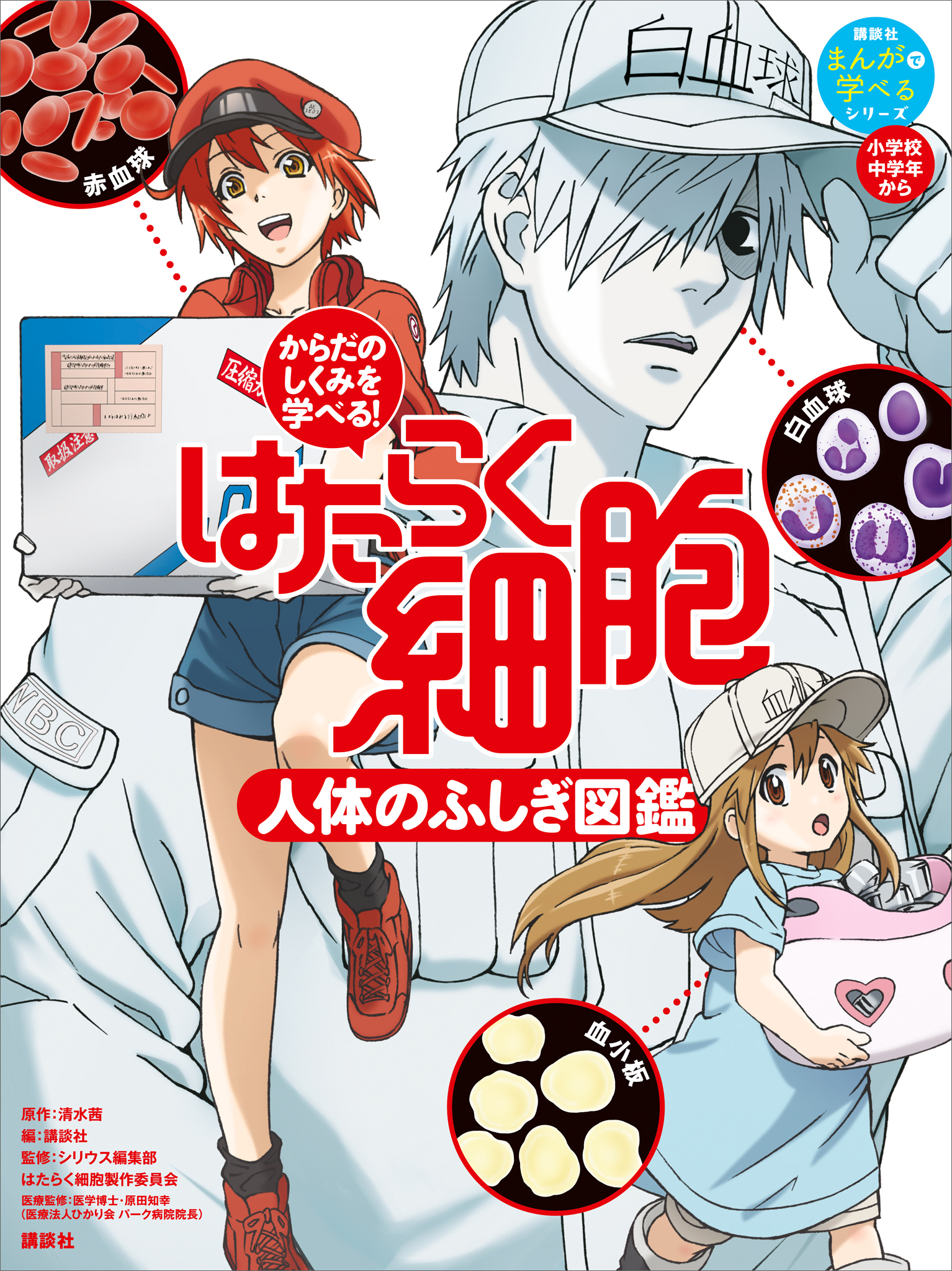 からだのしくみを学べる！　はたらく細胞　人体のふしぎ図鑑