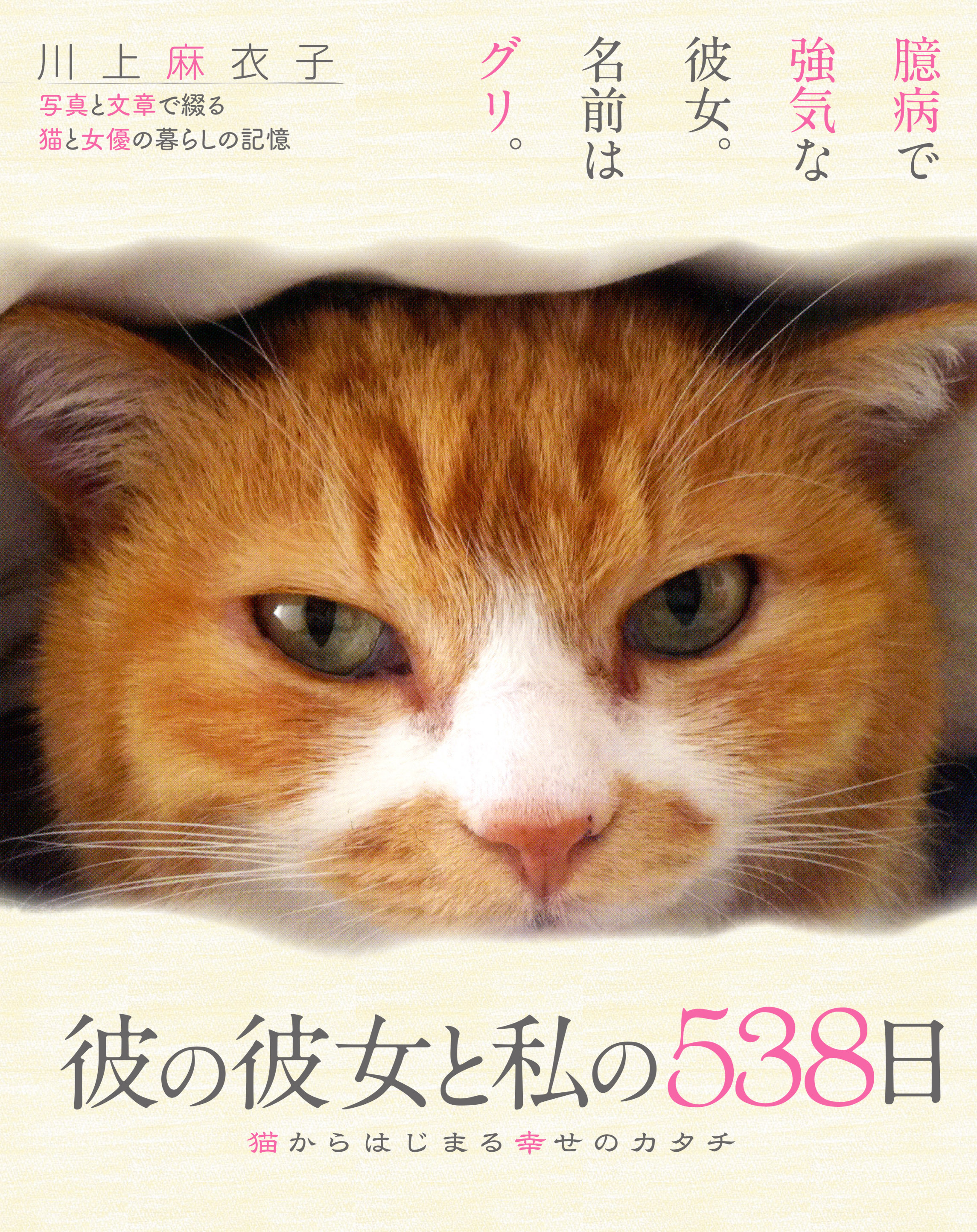 彼の彼女と私の538日 猫からはじまる幸せのカタチ