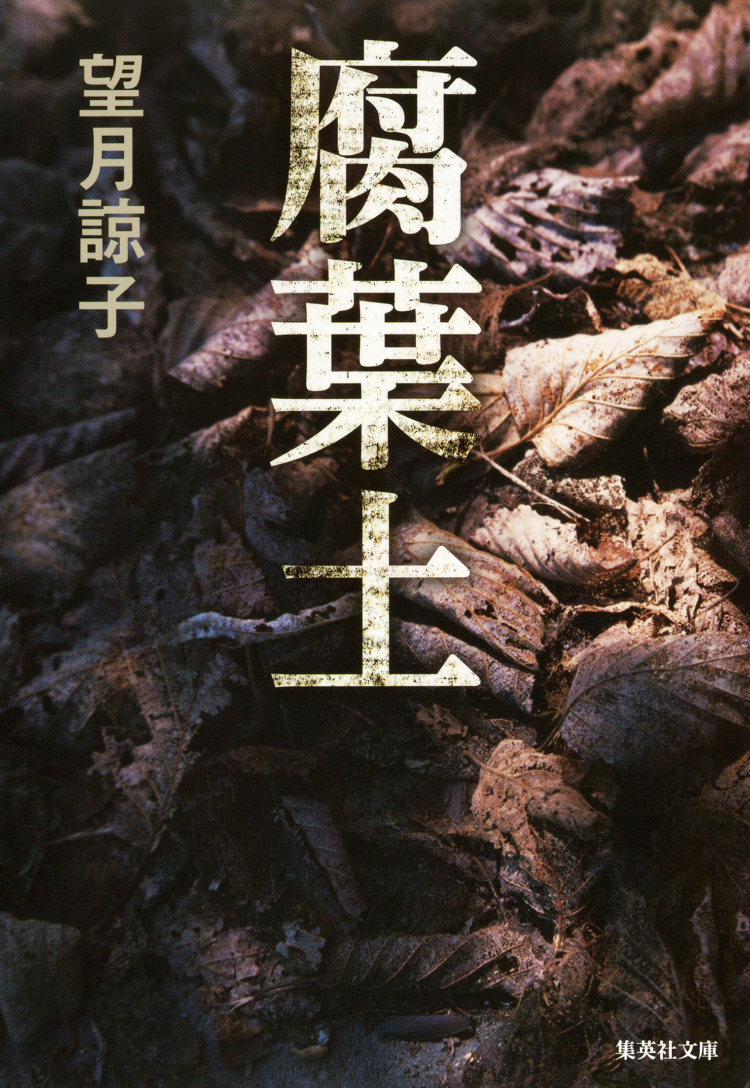 木部美智子シリーズ