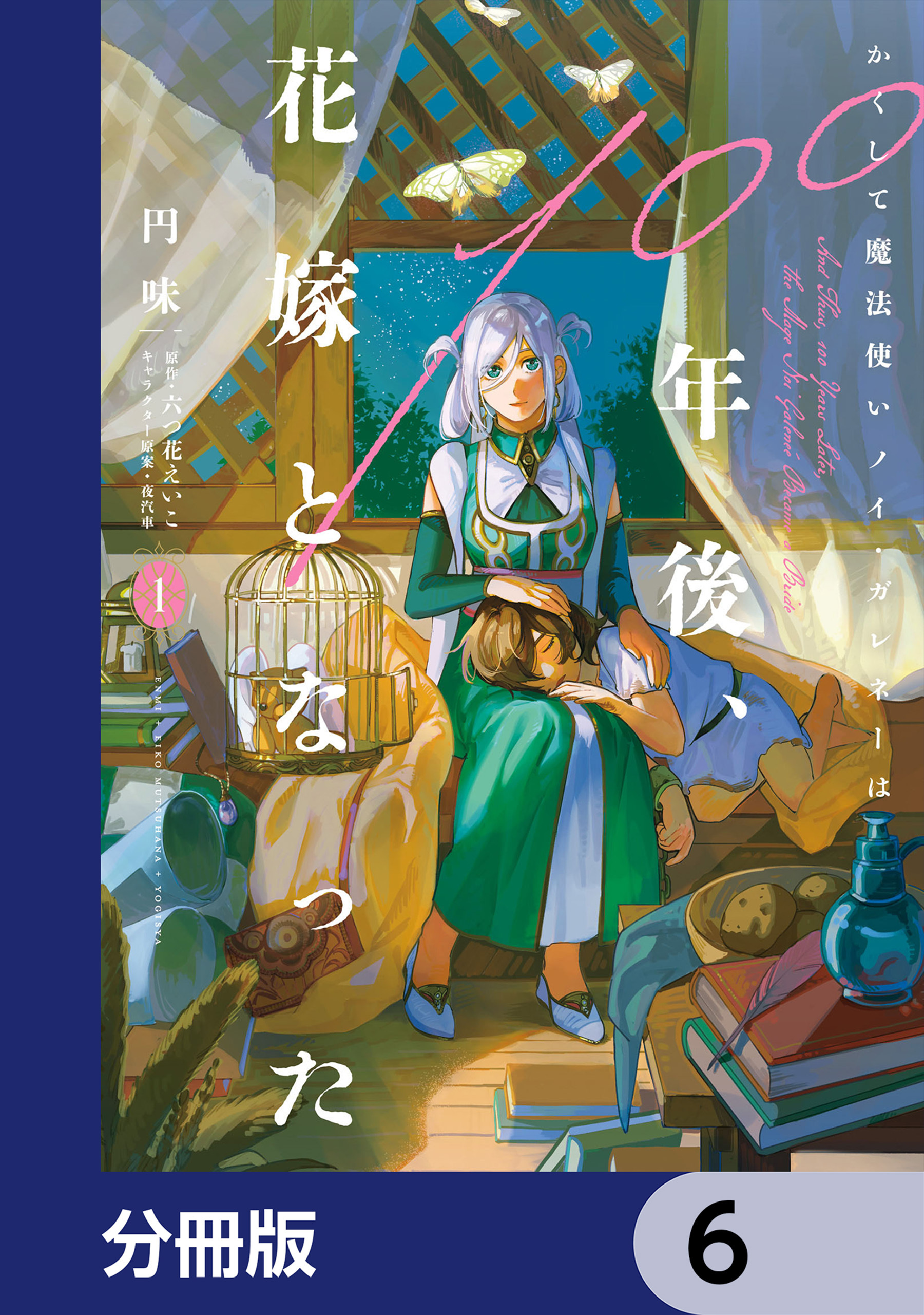 かくして魔法使いノイ・ガレネーは100年後、花嫁となった【分冊版】　6
