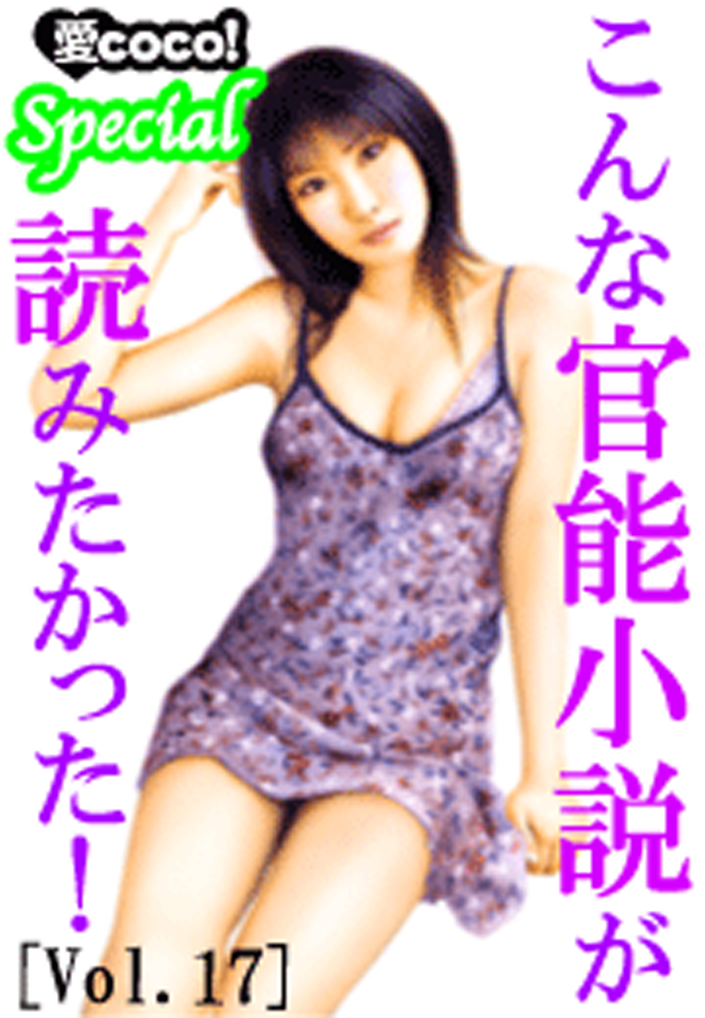 こんな官能小説が読みたかった！vol.17