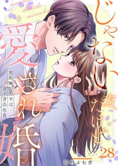 じゃない方、だけど愛され婚~契約婚の相手は一途すぎる社長(28)