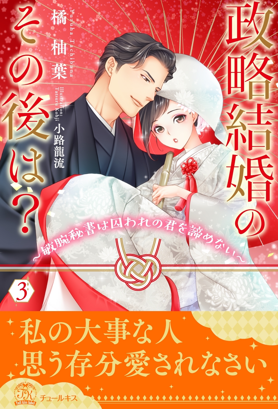 政略結婚のその後は？～敏腕秘書は囚われの君を諦めない～【３】