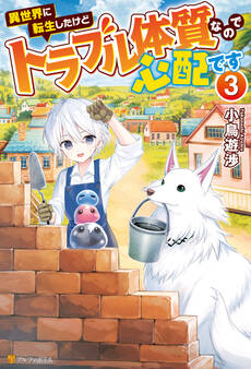 異世界に転生したけどトラブル体質なので心配です3