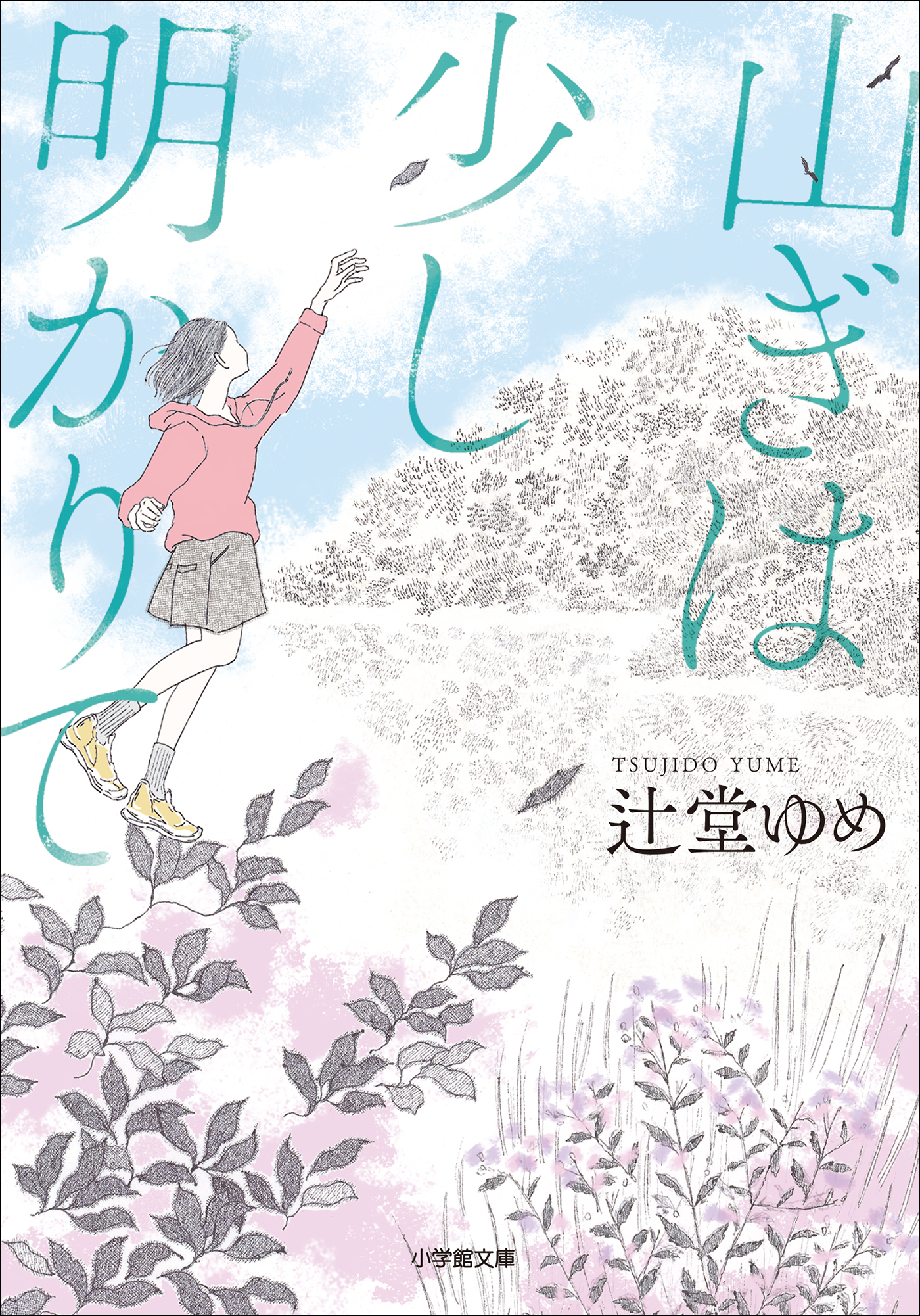 山ぎは少し明かりて