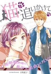 猫を追いかけて～何年後（いつ）かのきみに出会いたい～