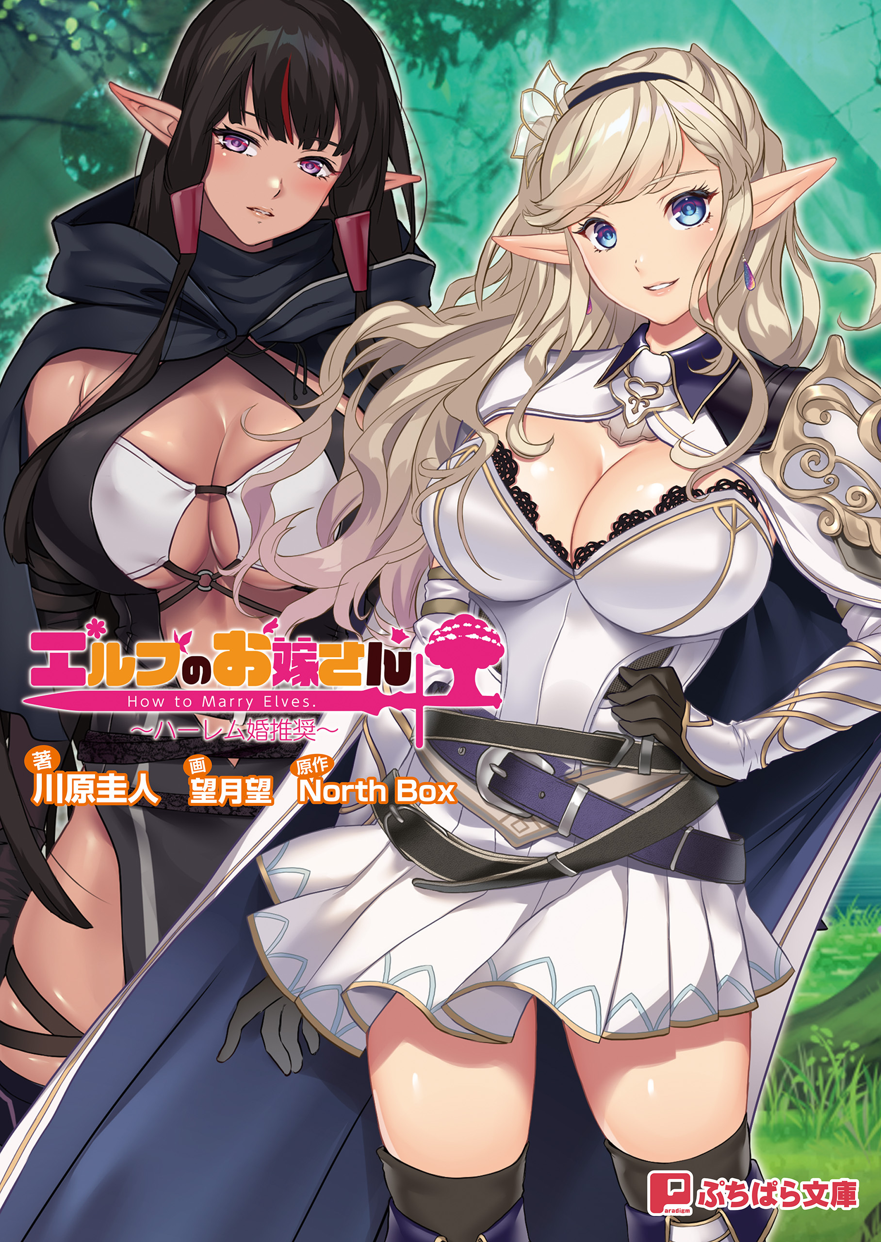 エルフのお嫁さん ～ハーレム婚推奨～