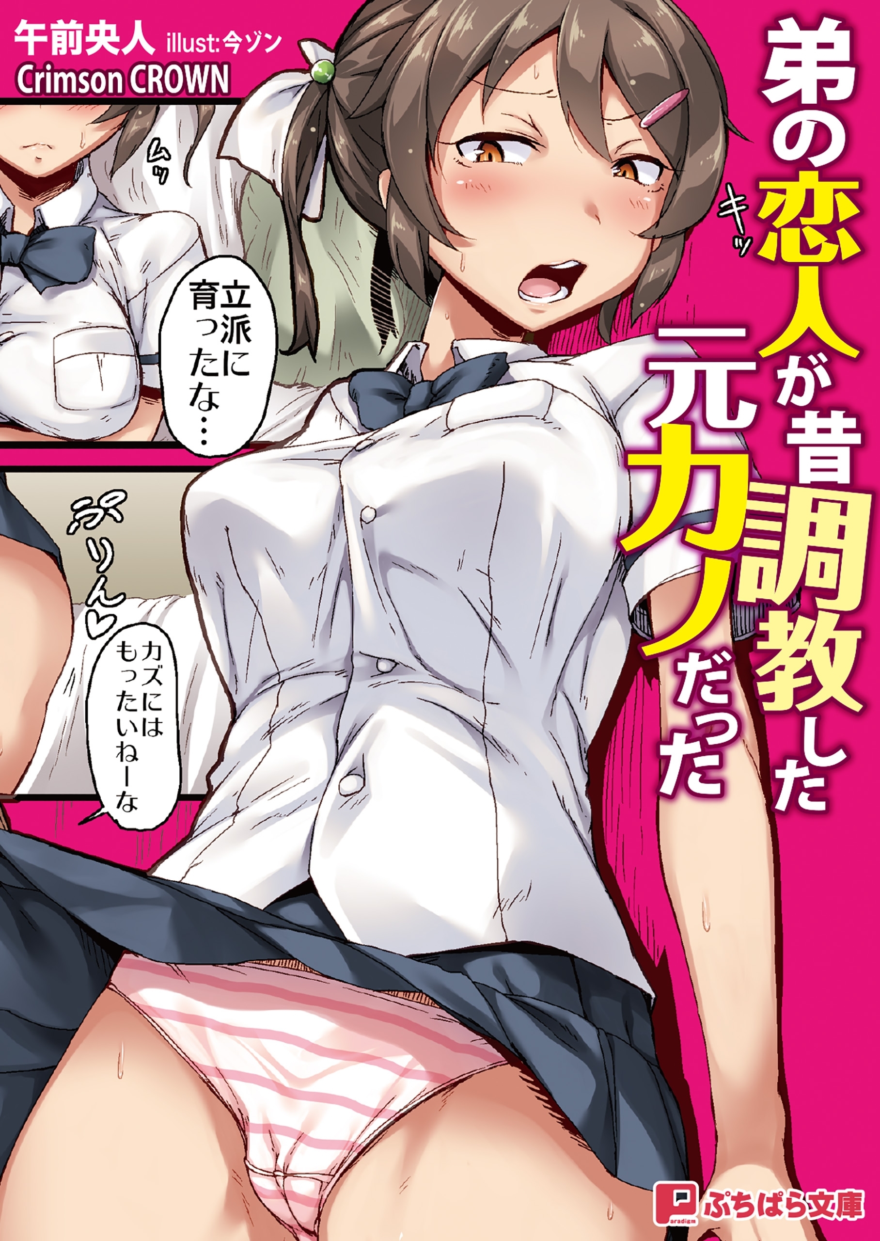 弟の恋人が昔調教した元カノだった