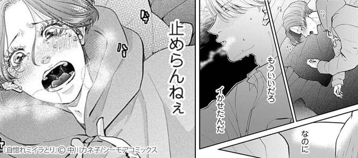 自惚れミイラとりのコマ