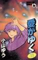 愛がゆく 11