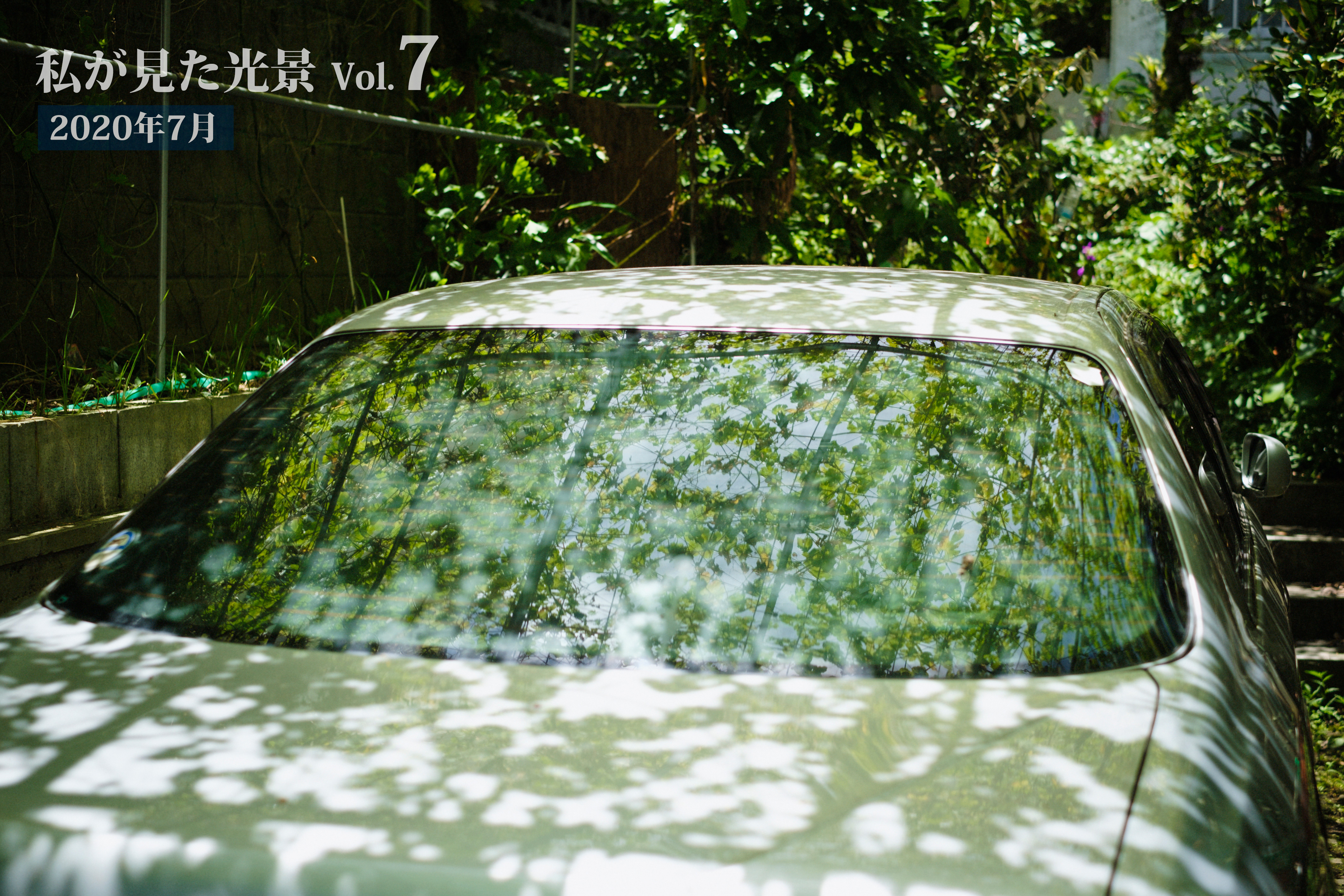 私が見た光景 vol.7 2020年7月
