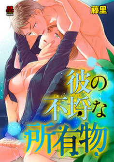 彼の不埒(ふらち)な所有物【電子単行本】