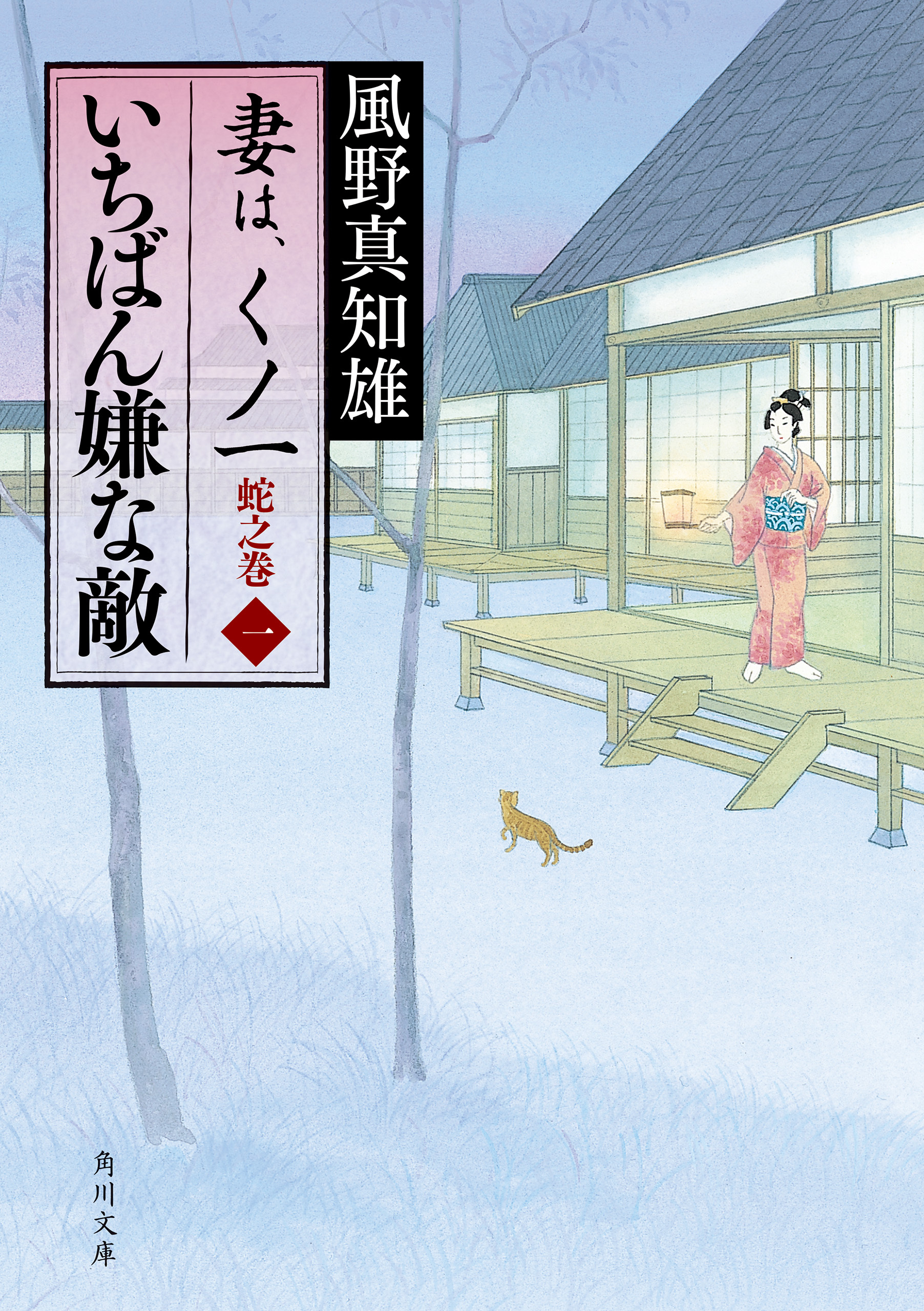 いちばん嫌な敵　妻は、くノ一　蛇之巻１