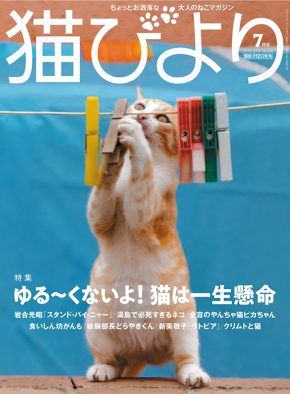 猫びより2020年7月号　Vol.112
