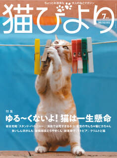 猫びより2020年7月号 Vol.112