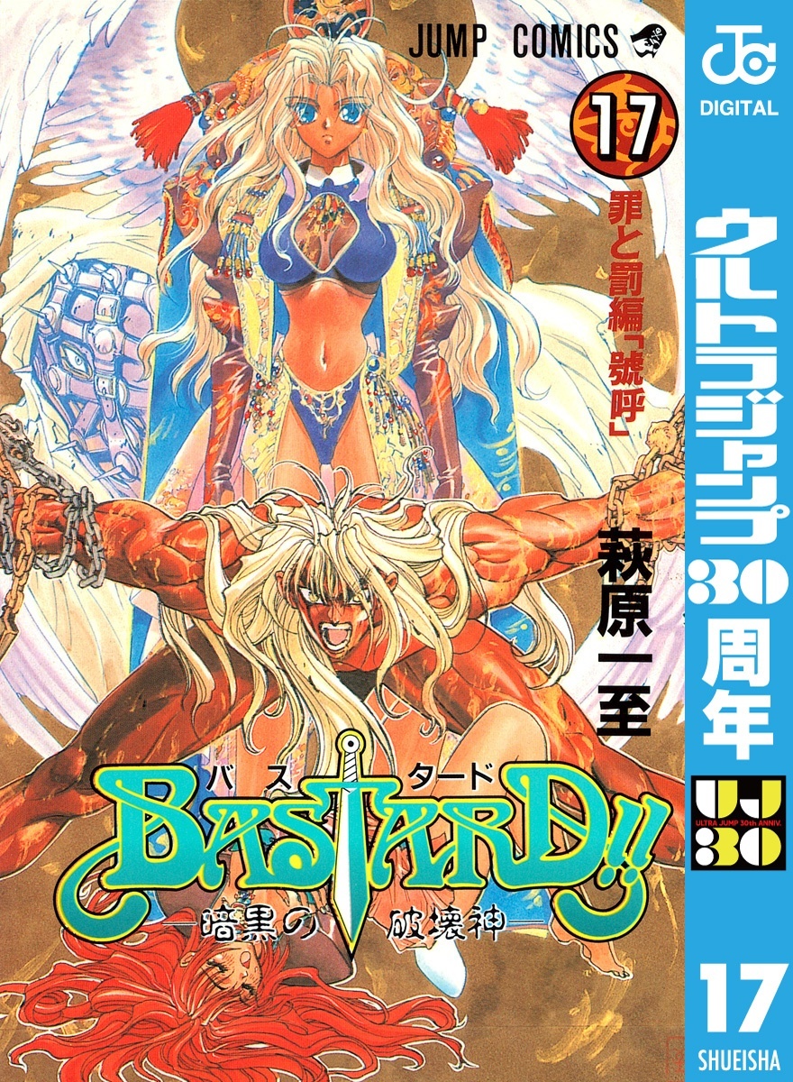 BASTARD！！ 17