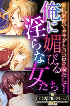 俺に媚びる淫らな女たち ~愛玩飼育でカラダとココロを満たして…~【CG集コレクションBIG】