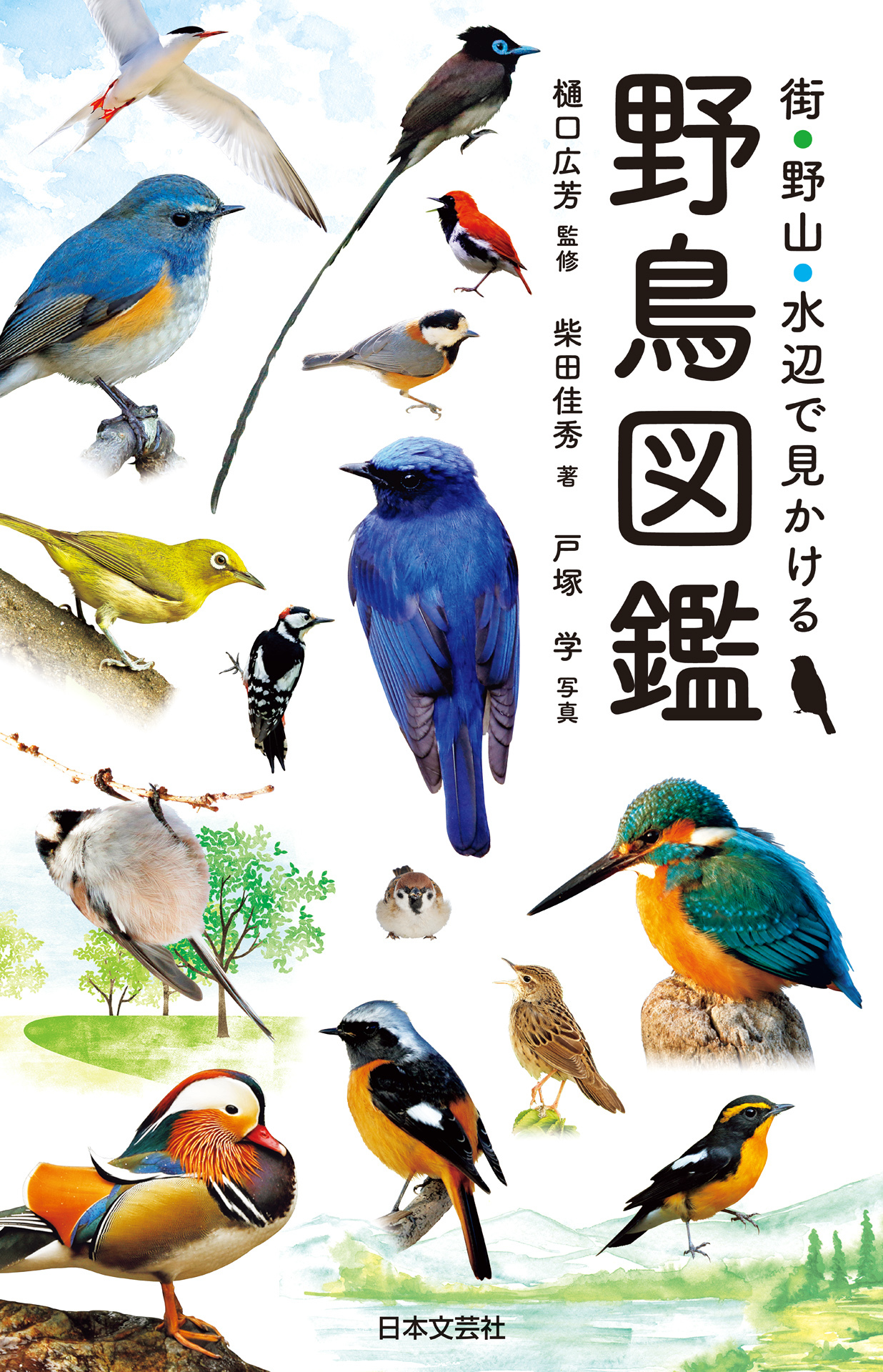 街・野山・水辺で見かける 野鳥図鑑