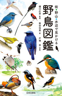 街・野山・水辺で見かける 野鳥図鑑