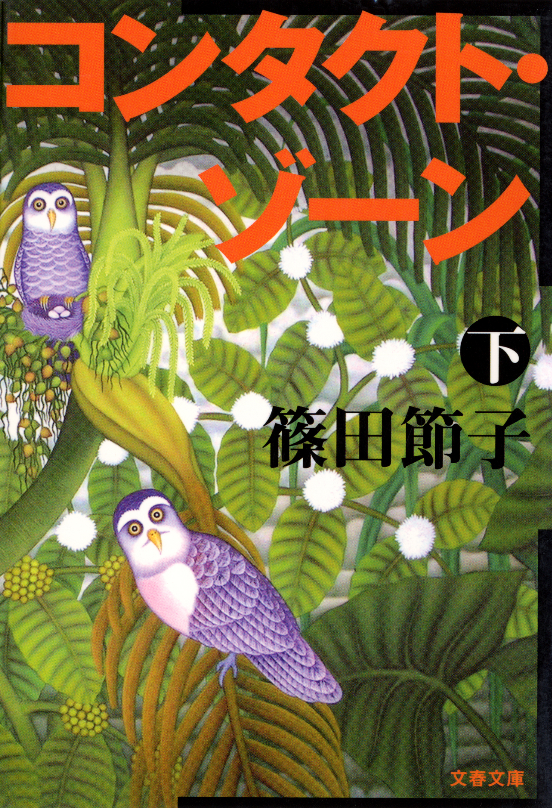 コンタクト・ゾーン