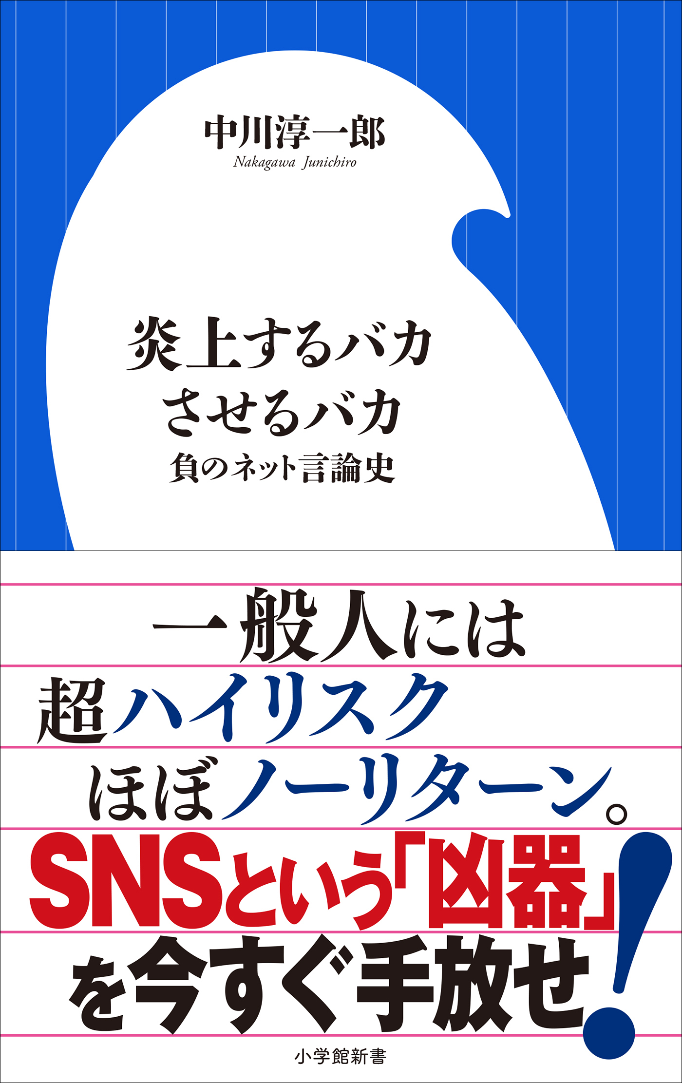 炎上するバカさせるバカ　～負のネット言論史～（小学館新書）