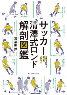 サッカー清澤式ロンド解剖図鑑